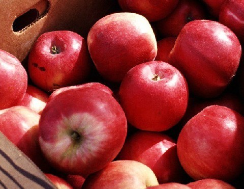 某水果店到苹果产地去收购苹果1吨,收购价为每