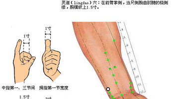 取穴方法〗灵道穴位于人体的前臂掌侧,当尺侧腕