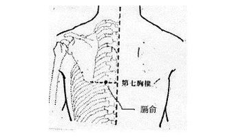 膈俞