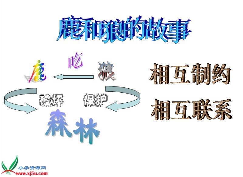 鹿和狼的故事教学设计_我的教学故事初中思想品德课教学体会_狼王:一个草原故事,一部狼王传奇