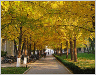 北京科技大学图书馆
