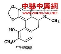 夏天无