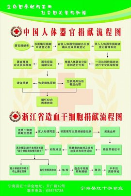 造血器官_360百科