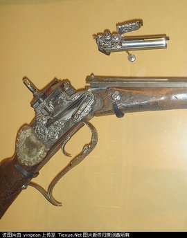 全息网游,男主用枪,女主用弓箭,并且是国家弓箭