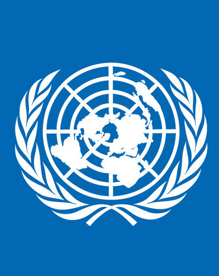 《联合国宪章》标志着联合国正式成立