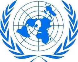 联合国的正式徽记是一个从北极看上去的世界图,周围用一个橄榄枝圆环