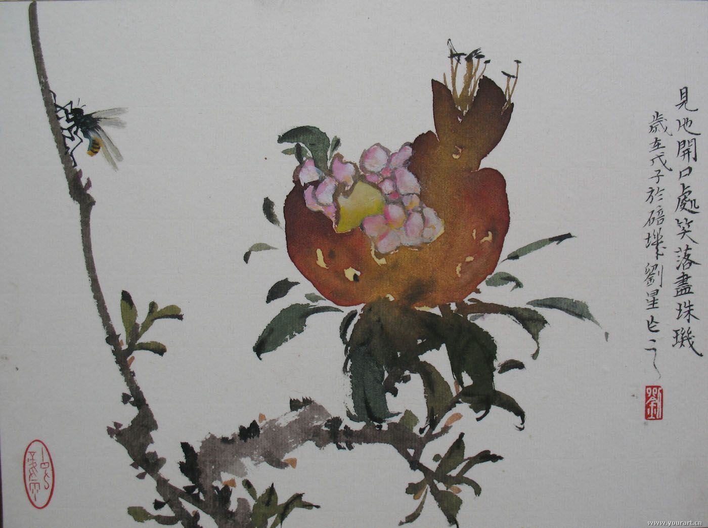 求草石榴邀请码1090592081@qq谢谢