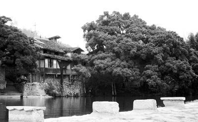 从福建省福安市一直西去,翻过两座山,就到一个叫穆阳的小镇.